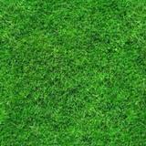 用户老葛头头像