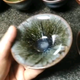 速腾而已头像