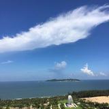 阿杜41930头像