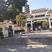 极客上进松鼠q2头像