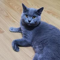 带点好东西头像