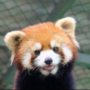 Armin409的个人资料头像