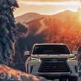 聪明岑溪8s4头像