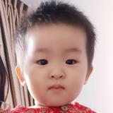 Y杨洋Y323头像