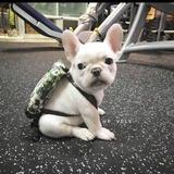 你是个小小少年头像
