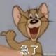 吴所谓68头像