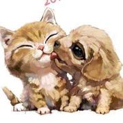 正经人谁救公主的个人资料头像