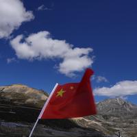 只想躺平享受生活头像