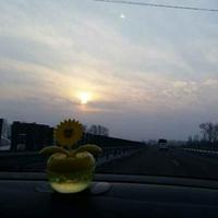 漂洋过海5325头像