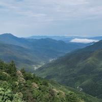 柳岸花明又一站头像