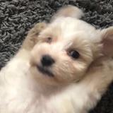 小陈cc0头像