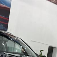 上进的柳叶水天气头像