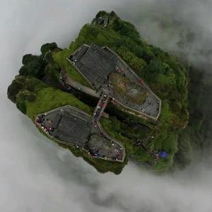 紫色的马卡龙头像