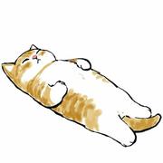 争渡803的个人资料头像