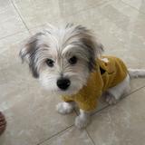 用户7059745439445头像