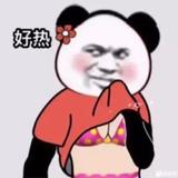 一枚菜鸟H啊哈头像
