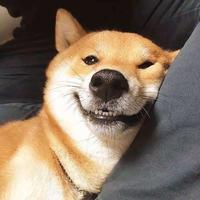 若天使在头像