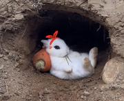 贝拉大魔王kira的个人资料头像