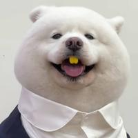 秃头老宝贝866头像