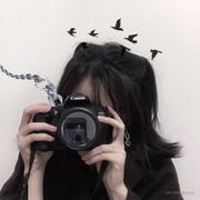 橙子不吐葡萄皮的个人资料头像