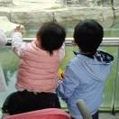 xieweijv的个人资料头像