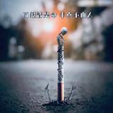 用户8340146300881头像