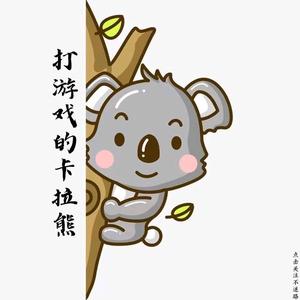 打游戏的卡拉熊灬头像