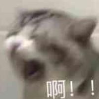 7月10日548已提头像