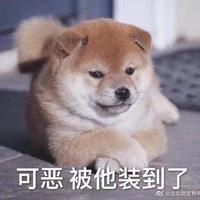 一只小狗狗2z头像