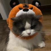 momoko693的个人资料头像