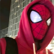 揽星入怀的个人资料头像