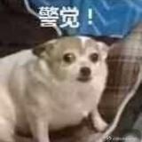 阿强头像