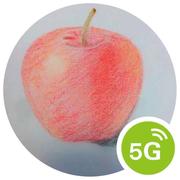 Lucasie的个人资料头像