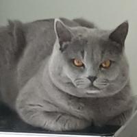 不凡的岁月磨平我的棱头像