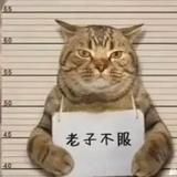 雾里赏花823头像