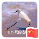 李绍鹏的个人资料头像