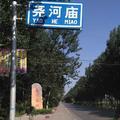 陌生人张坤头像