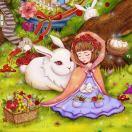 梦馨晚風的个人资料头像