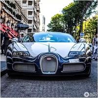 长丰8966头像