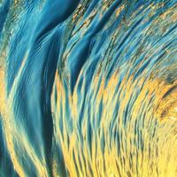 秋风落叶0x1S头像