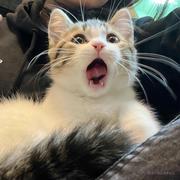 澄澄c的个人资料头像