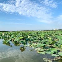 大大小魔王呀头像