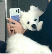 但我依然活着的个人资料头像