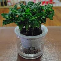 蜡笔and小新911头像