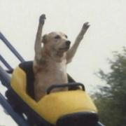 Focus_的个人资料头像