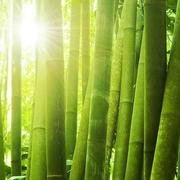 十六72的个人资料头像