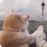 瓦力是小猿的个人资料头像