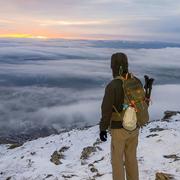 木槿975的个人资料头像