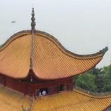江城浪子头像