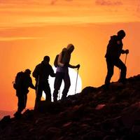 一叶障目丶头像